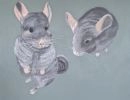 Chinchillas 1014x1024