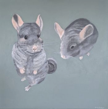 Chinchillas 1014x1024