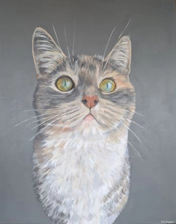 cat 805x1024