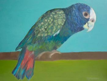 pionus4web