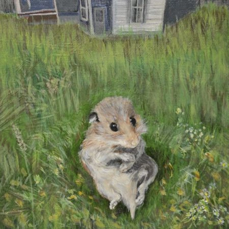 mouse