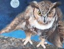 owl moon
