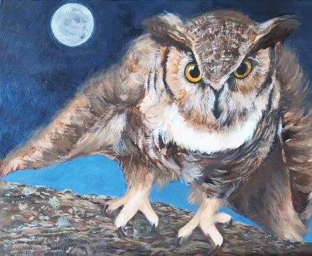 owl moon