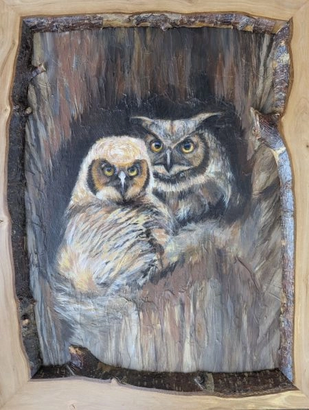 owls