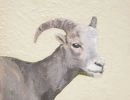 ram