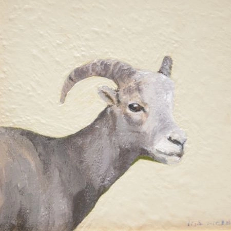 ram