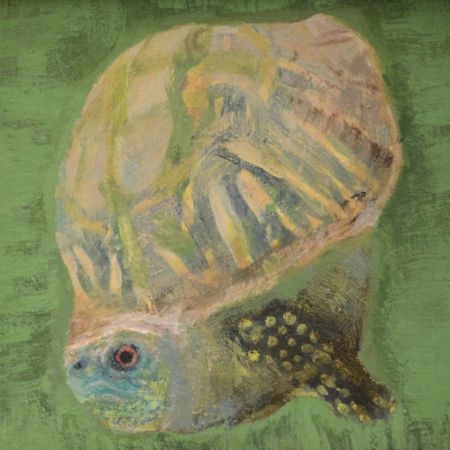 turtle2