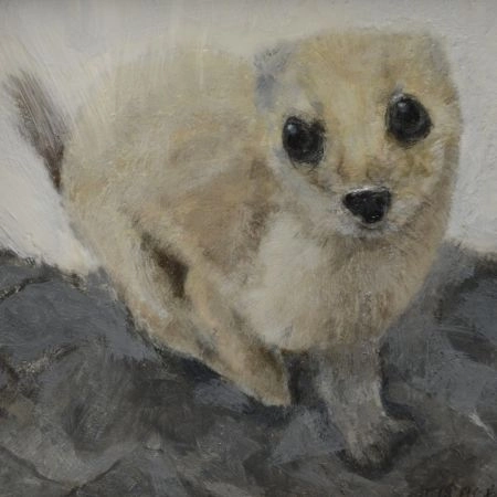 weasel